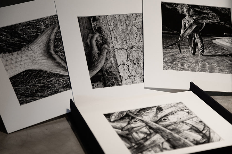 Artebox "INSULAR"