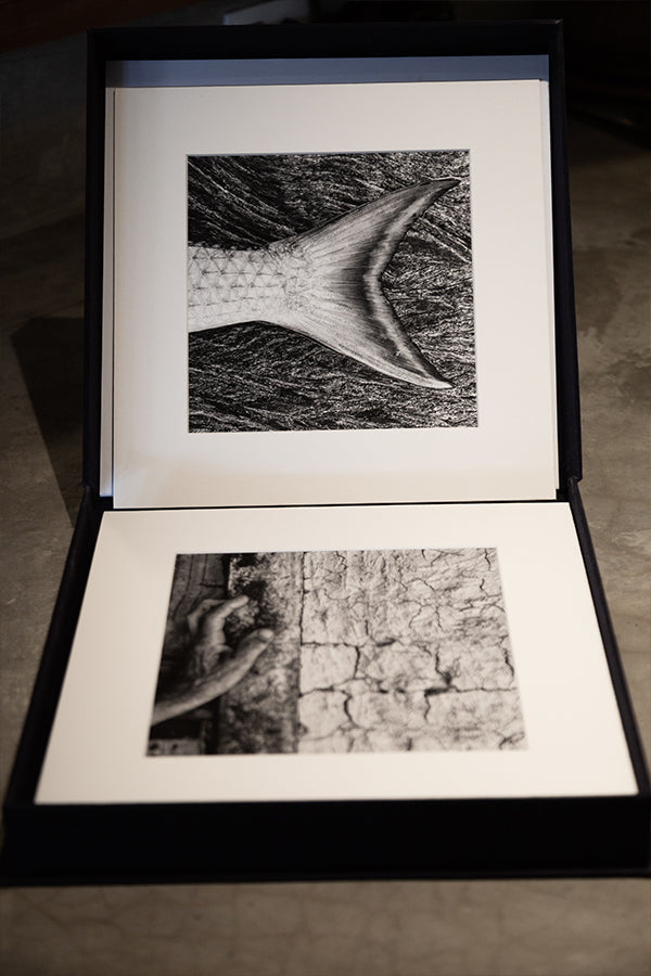 Artebox "INSULAR"