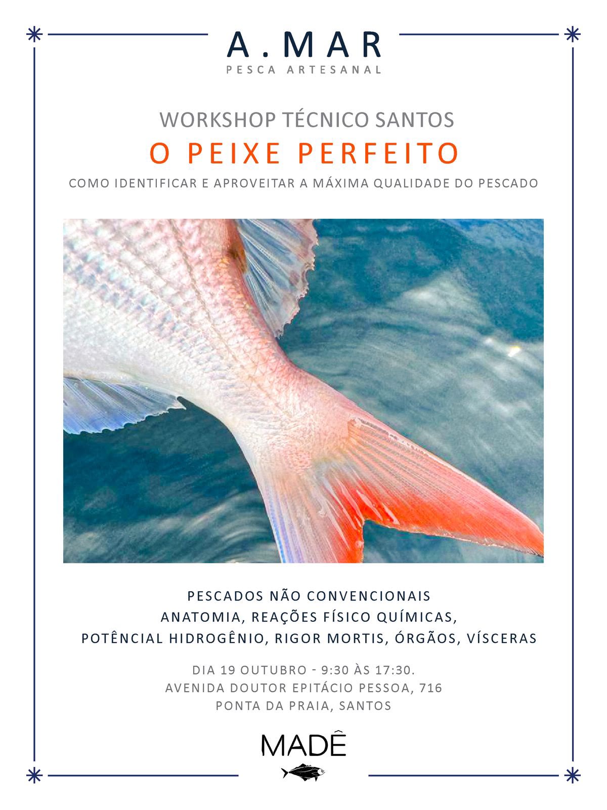 Workshop Técnico Santos - O Peixe Perfeito