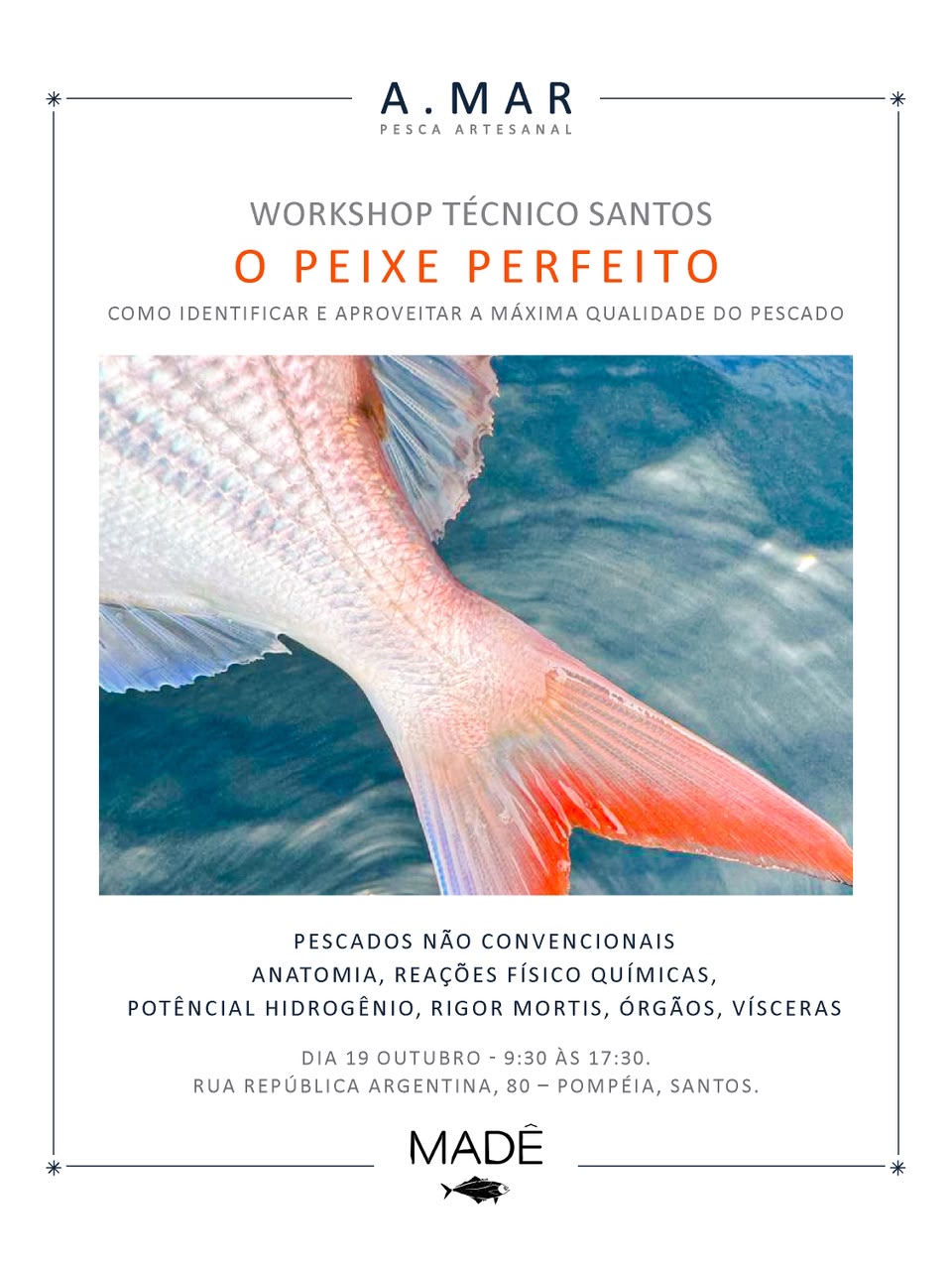 Workshop Técnico Santos - O Peixe Perfeito