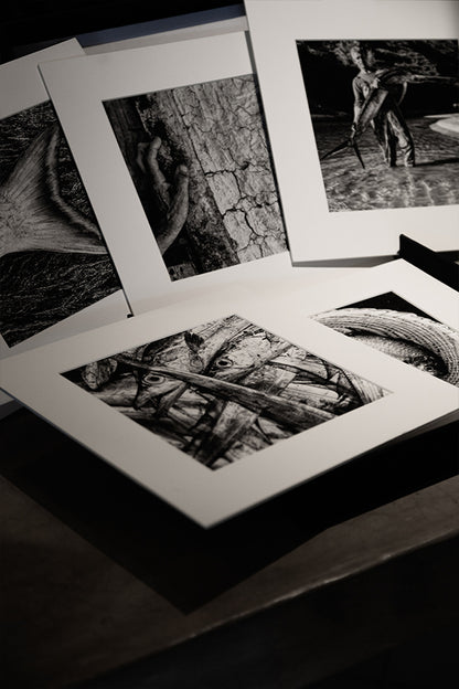 Artebox "INSULAR"