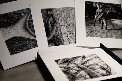 Artebox "INSULAR"