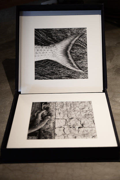 Artebox "INSULAR"