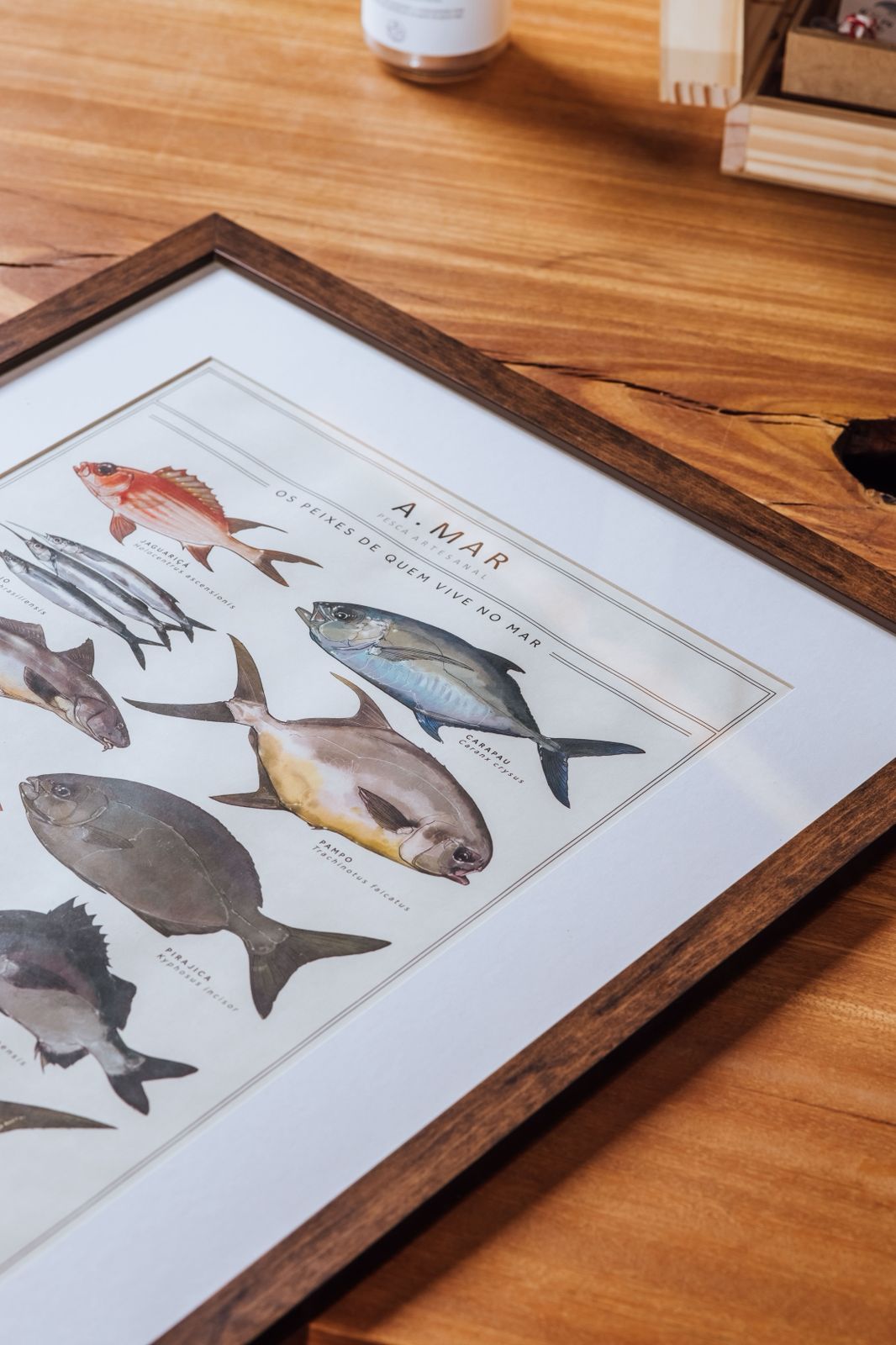 Quadro Os Peixes de quem vive no mar