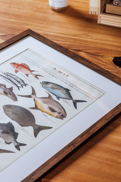 Quadro Os Peixes de quem vive no mar
