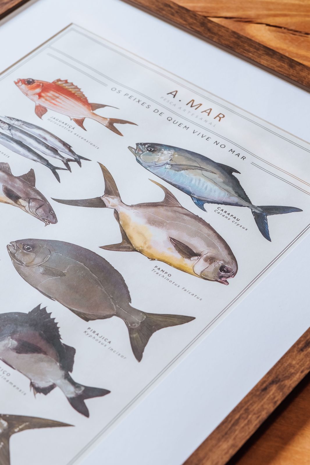 Quadro Os Peixes de quem vive no mar