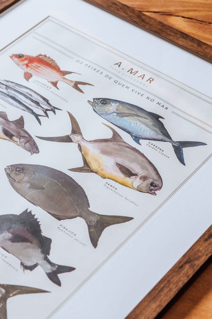Quadro Os Peixes de quem vive no mar